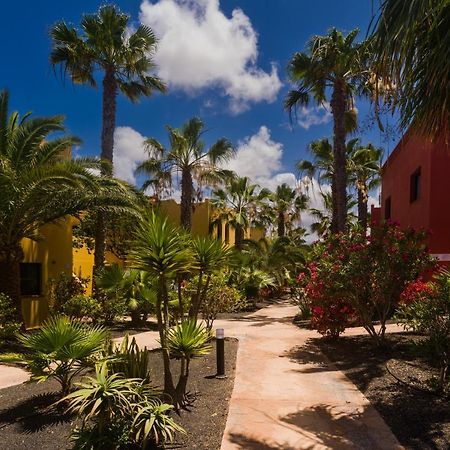 Apartamento Oasis Vistamar Corralejo Exterior foto