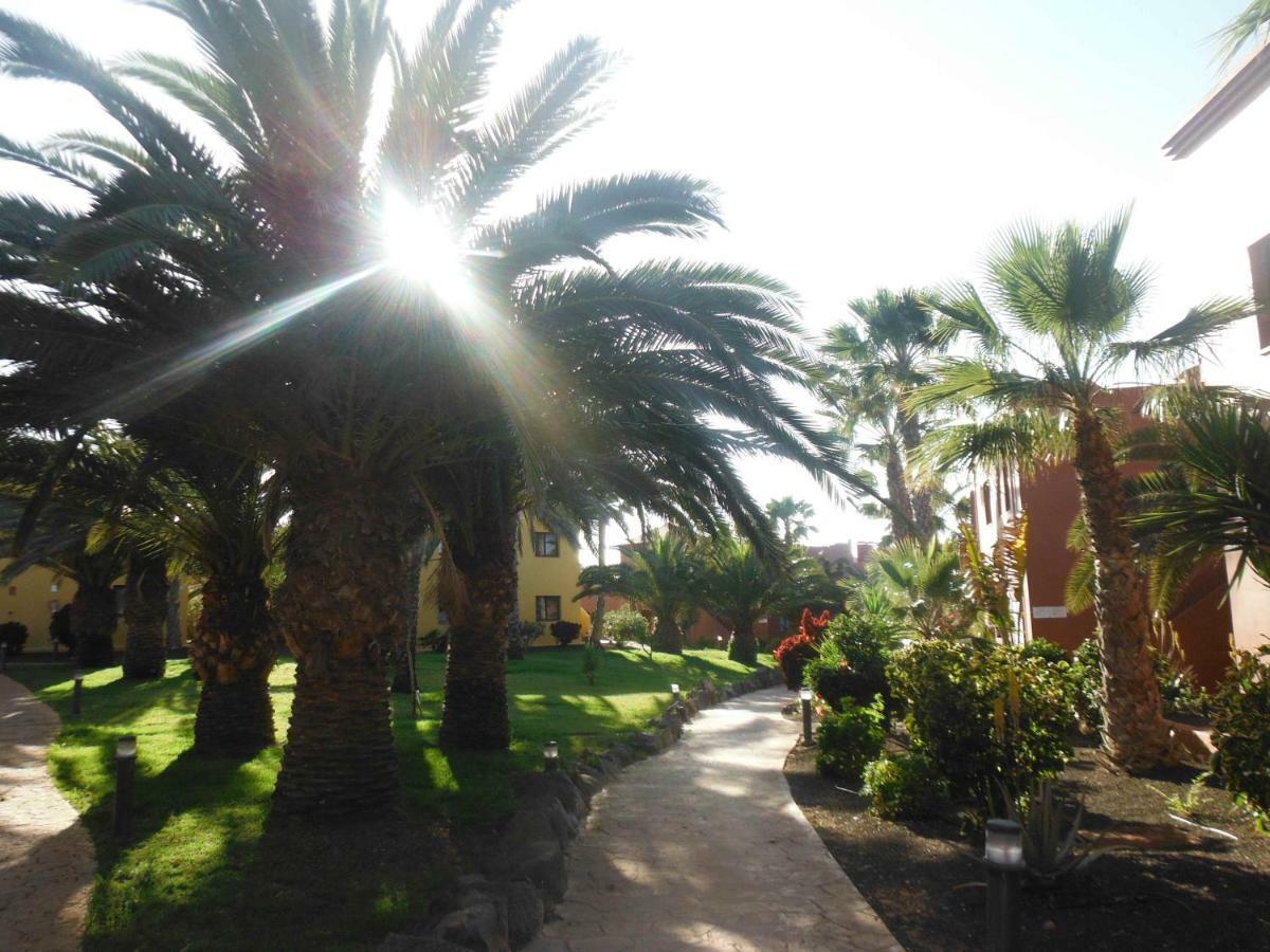 Apartamento Oasis Vistamar Corralejo Exterior foto